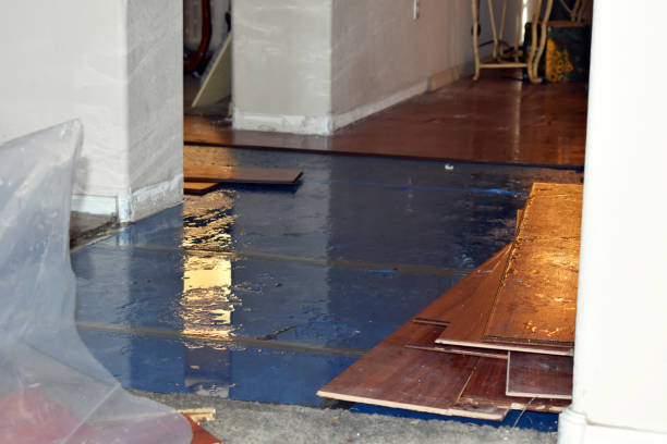 Professional Basement Flood Cleanup technician working in Murfreesboro, NC